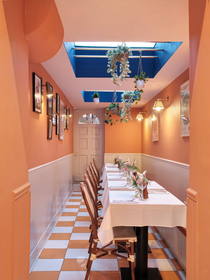 Long orange dining room with skylight and hanging plants